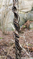 ovega_20161212_584eecacd3df8.jpg