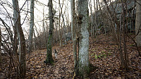 ovega_20161212_584eecbba8b9c.jpg