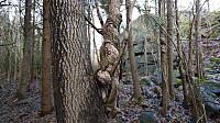 ovega_20161212_584eeceb44a3b.jpg