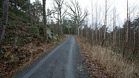 ovega_20161212_584eed370c901.jpg