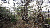 ovega_20161212_584eedb250e64.jpg