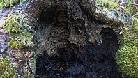 ovega_20170101_586966d8d9fe3.jpg
