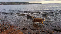 ovega_20170101_586986f6f066f.jpg
