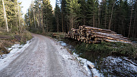 ovega_20170122_5885062edd430.jpg