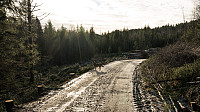 ovega_20170122_588506470f846.jpg