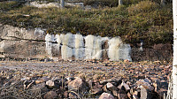 ovega_20170122_58850755c32e3.jpg
