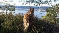 ovega_20170122_588507893a93d.jpg