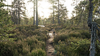 ovega_20170122_588507e45df58.jpg