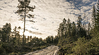 ovega_20170122_588508100a679.jpg