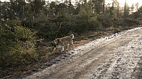 ovega_20170122_58850844a9215.jpg