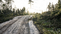 ovega_20170122_5885086e4511b.jpg