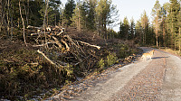 ovega_20170122_5885089e3a870.jpg