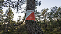 ovega_20170122_588508ccbbceb.jpg