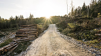 ovega_20170122_588508e6b52a9.jpg