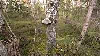 ovega_20170122_588508fd4bf97.jpg