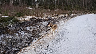 ovega_20170122_58850c24b904e.jpg