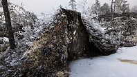 ovega_20170131_58908ce0dbae8.jpg