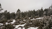 ovega_20170131_58908ce3b0682.jpg