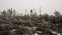 ovega_20170131_58908ce789a49.jpg