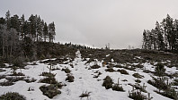 ovega_20170131_58908cfad36f8.jpg