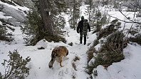 ovega_20170131_58908d0622ed3.jpg