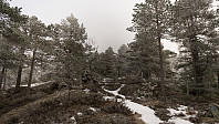 ovega_20170131_58908d0a8ec68.jpg