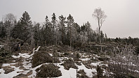 ovega_20170131_58908d0f118b8.jpg