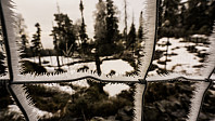 ovega_20170131_58908d14c635d.jpg