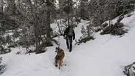 ovega_20170131_58908d1f36290.jpg