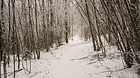 ovega_20170205_58976263623bc.jpg
