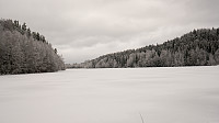 ovega_20170205_5897627d24c73.jpg