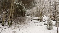 ovega_20170205_589762c19b7f5.jpg