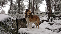 ovega_20170205_589762f1d8ead.jpg