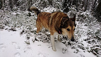 ovega_20170205_5897631507f36.jpg