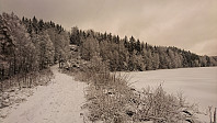 ovega_20170205_5897631a7ce73.jpg