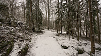 ovega_20170205_5897631fbda02.jpg