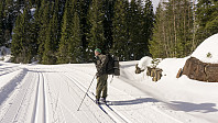 ovega_20170323_58d3890263f79.jpg