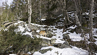ovega_20170323_58d38a9eb7dab.jpg