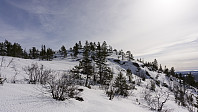 ovega_20170323_58d38ac325a53.jpg