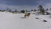 ovega_20170323_58d38acccd8db.jpg
