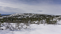 ovega_20170323_58d38ad7cd50c.jpg