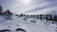 ovega_20170323_58d38ae29788a.jpg