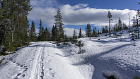 ovega_20170323_58d38c459343b.jpg