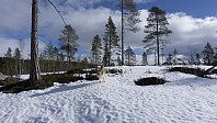 ovega_20170323_58d38c5251f8f.jpg