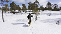 ovega_20170323_58d38c6c9af6b.jpg