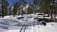 ovega_20170323_58d38ce1a538f.jpg