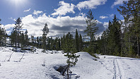 ovega_20170323_58d38d271db6c.jpg