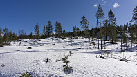 ovega_20170323_58d38d3525af1.jpg