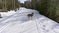 ovega_20170329_58db5c5400813.jpg