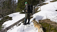 ovega_20170329_58db5c7a57d52.jpg